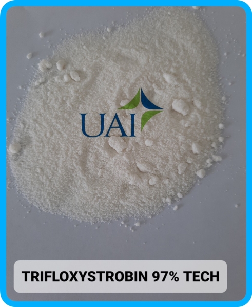 TRIFLOXYSTROBIN 97%TECH - Công Ty TNHH Hóa Chất Phân Bón Thuốc Bvtv Dubai